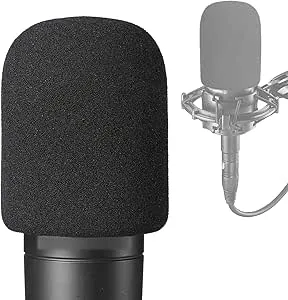 AT2035 Popfilter.jpg