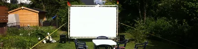 public_viewing.jpg